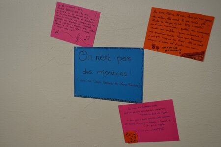 04 - Novembre 2016, DSC_0091