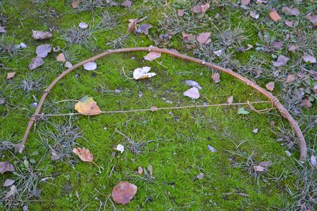 05 - Décembre 2016, DSC_0188