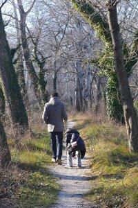 06 - Janvier 2017, DSC_0236