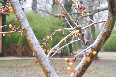 06 - Janvier 2017, DSC_0274