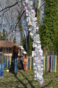 07 - Février 2017, DSC_0437