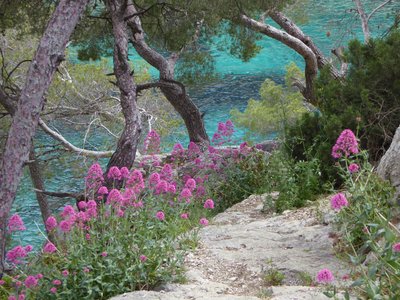 2017-04 Caf-Calanques, 2017-04-24_1511