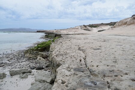 Basse Californie Sud en hiver : décembre 2016 / Janv 2017, DSC_1308