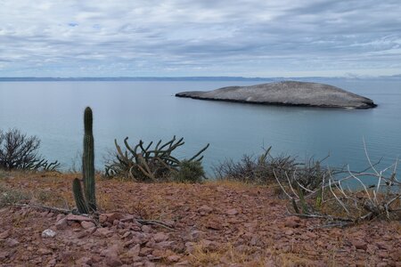 Basse Californie Sud en hiver : décembre 2016 / Janv 2017, DSC_0119_01