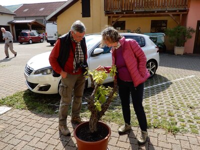 Voyage en Alsace, DSCN0858_2