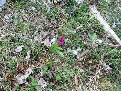 Randonnée du 15/05/2017 vers le col de Gleize, P1010014 (1)