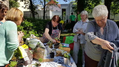 MTL Parc et Jardin Mai 2017, 20170510_154403