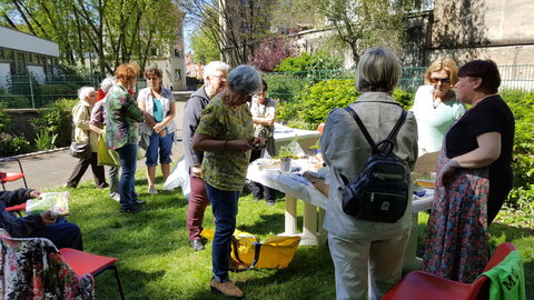 MTL Parc et Jardin Mai 2017, 20170510_154524