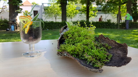 MTL Parc et Jardin Mai 2017, 20170510_154624
