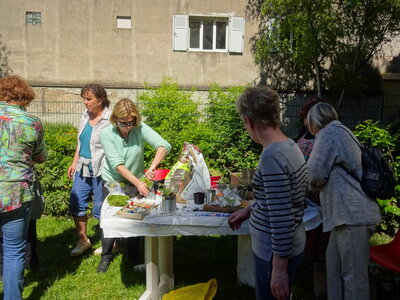 MTL Parc et Jardin Mai 2017, DSC05758