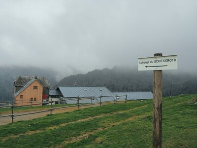 Voyage ALSACE - 8 au 13 mai 2017, P5090070  Copier 