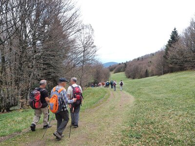 Voyage ALSACE - 8 au 13 mai 2017, P5120173  Copier 