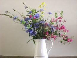fleurs des champs, pot