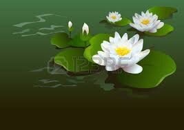 lotus, lotus 1