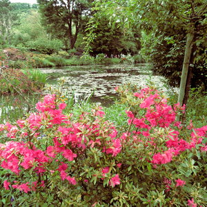 Giverny, IMG_5290