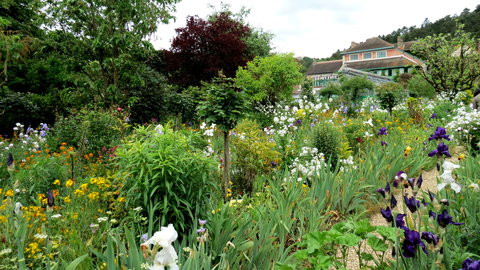 Giverny, IMG_5306