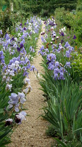 Giverny, IMG_5311