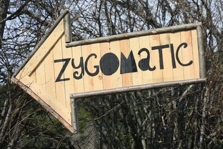 Zygomatic Festival # 9 du 06 au 22 Avril 2017, J Pierre Dupraz_20170409_006  1920x1280 