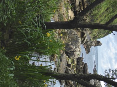2017-05 Pays basque, 2017-05-20_0934