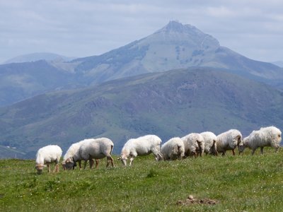 2017-05 Pays basque, 2017-05-20_1515