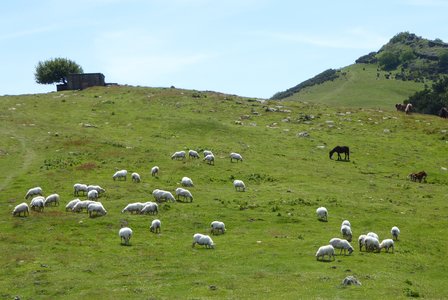 2017-05 Pays basque, 2017-05-20_1516