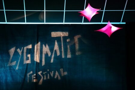 Zygomatic Festival # 9 du 06 au 22 Avril 2017, J Pierre Dupraz_20170422_007  1920x1280 