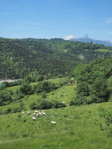 les passerelles du Drac, P5240029  Copier 
