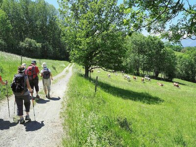 les passerelles du Drac, P5240039  Copier 