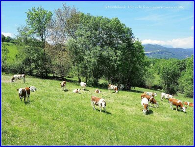 les passerelles du Drac, P5240040  Copier 