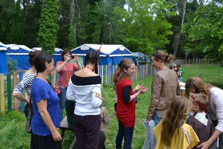10 - Mai 2017, DSC_0125