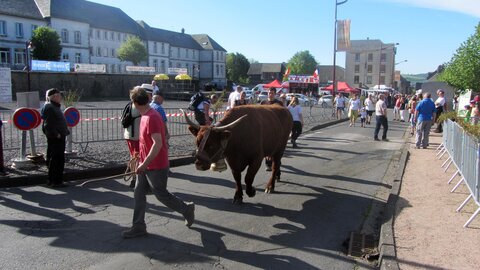 Allanche - Fête de l'estive, IMG_1621