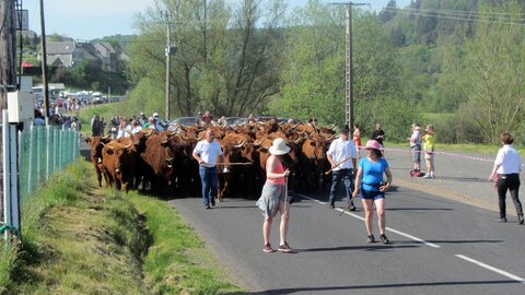 Allanche - Fête de l'estive, IMG_1623