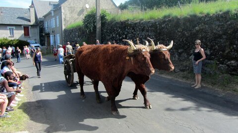 Allanche - Fête de l'estive, IMG_1635