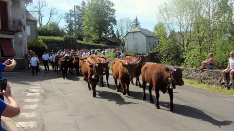 Allanche - Fête de l'estive, IMG_1640
