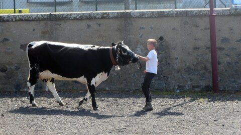 Allanche - Fête de l'estive, IMG_1647