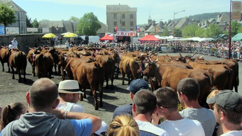 Allanche - Fête de l'estive, IMG_1650