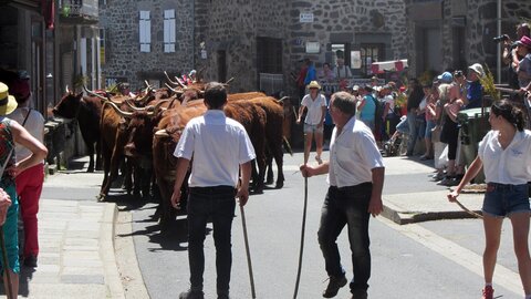 Allanche - Fête de l'estive, IMG_1661