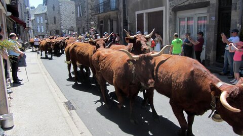 Allanche - Fête de l'estive, IMG_1662