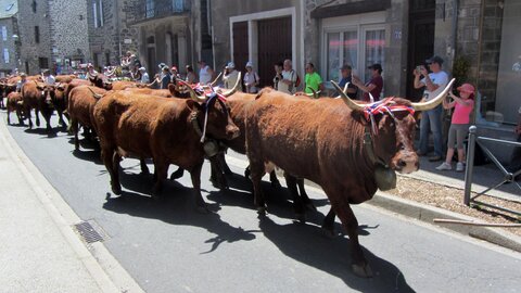 Allanche - Fête de l'estive, IMG_1663