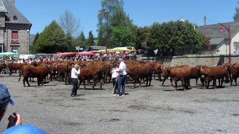 Allanche - Fête de l'estive, IMG_1665