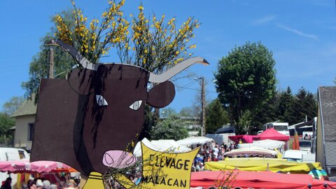 Allanche - Fête de l'estive, IMG_1666