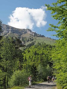Randonnée du 28/05/2017 au Bonnet de Calvin, P5280012  Copier 