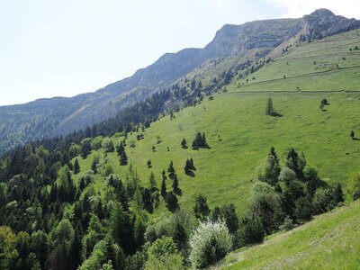 Randonnée du 28/05/2017 au Bonnet de Calvin, P5280019  Copier 