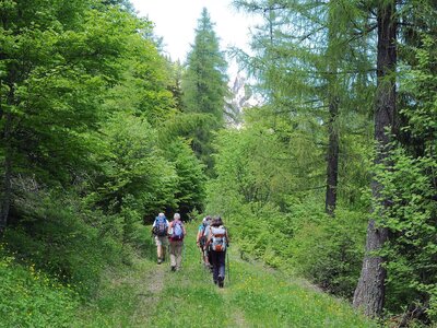 Randonnée du 28/05/2017 au Bonnet de Calvin, P5280080  Copier 