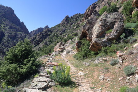 Corse Avril 2017, IMG_3752