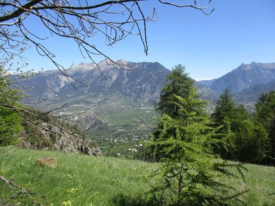 Randonnée du 17 /05/2017 aux Chalets de Brunissard-Risoul, IMG_0360