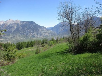 Randonnée du 17 /05/2017 aux Chalets de Brunissard-Risoul, IMG_0366
