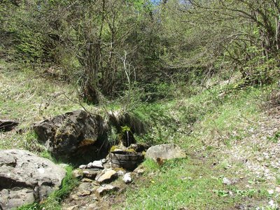 Randonnée du 17 /05/2017 aux Chalets de Brunissard-Risoul, IMG_0365