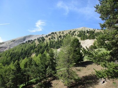 Randonnée du  23/05/2017 à COSTE BELLE, COSTE FOLLE, IMG_0381