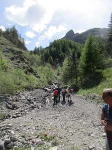 Randonnée du  23/05/2017 à COSTE BELLE, COSTE FOLLE, IMG_2689 (Copier)